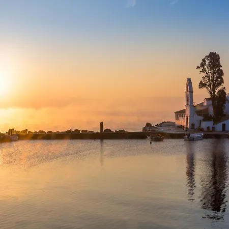 Amalia Vila *